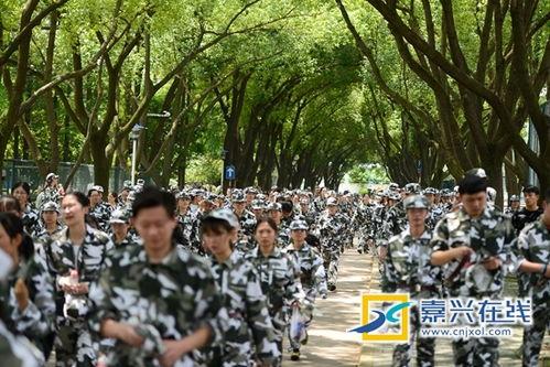凉亭吃瓜军训跳舞,校园生活的多彩篇章  第2张